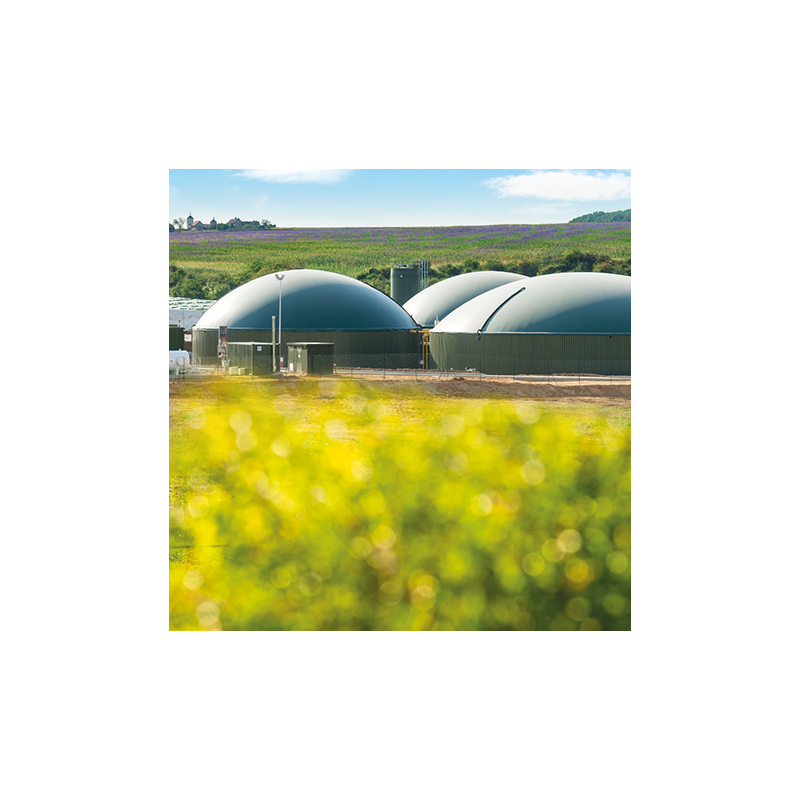 Produire de l'énergie biogaz par méthanisation à partir de déchets agricoles, bio déchets, IAA (injection et cogénération)
